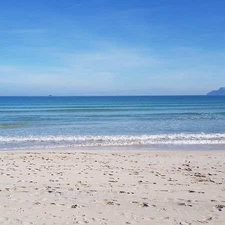 Ideal Property Mallorca - Primavera Port de Alcudia  Eksteriør billede