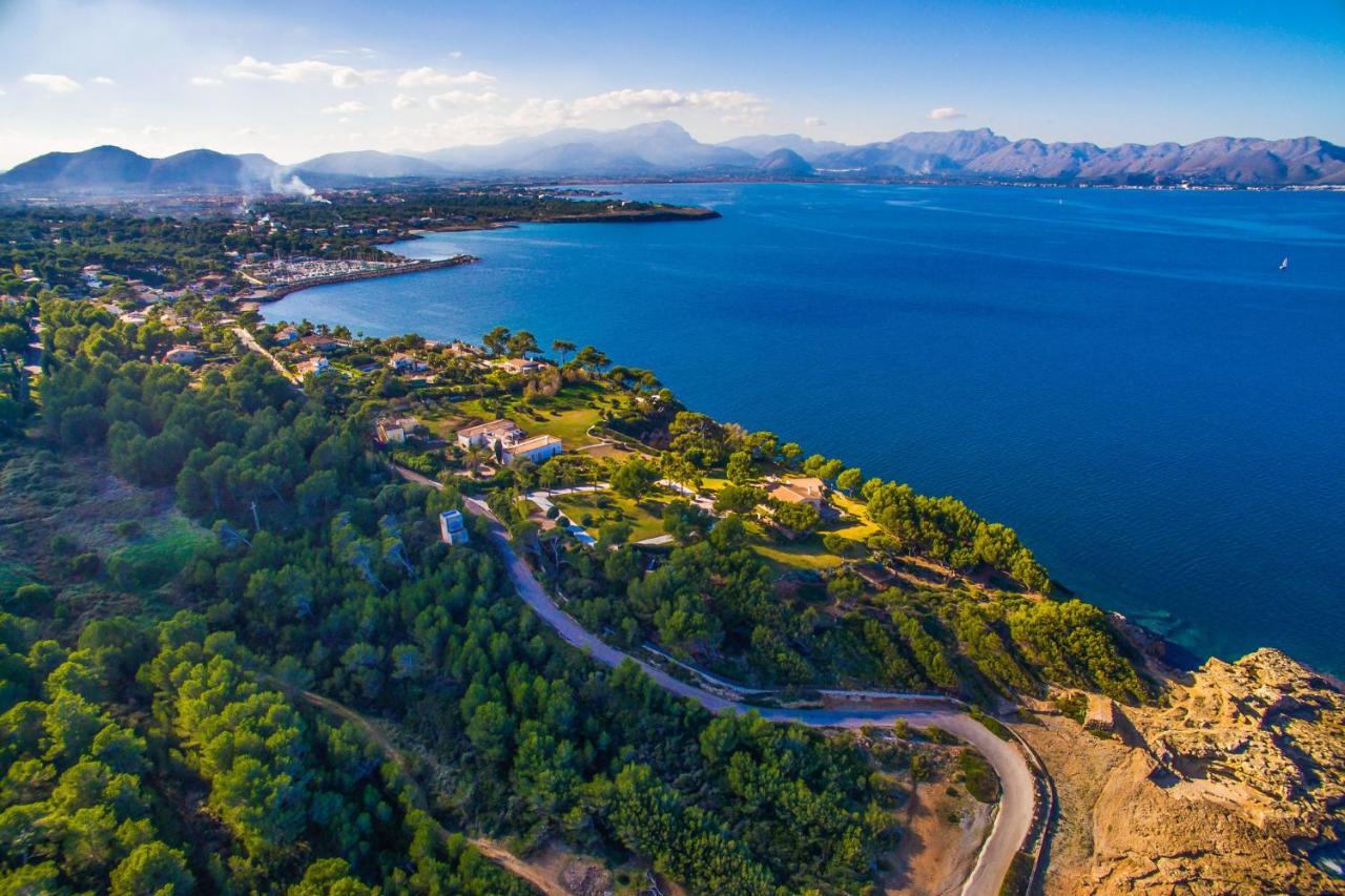 Ideal Property Mallorca - Primavera Port de Alcudia  Eksteriør billede