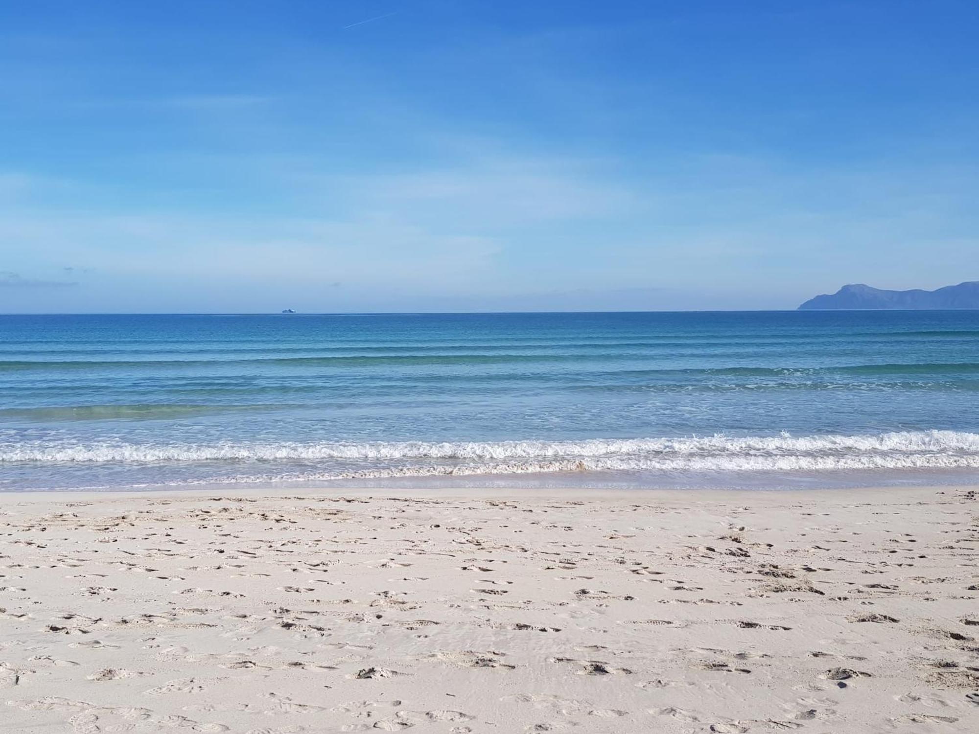 Ideal Property Mallorca - Primavera Port de Alcudia  Eksteriør billede