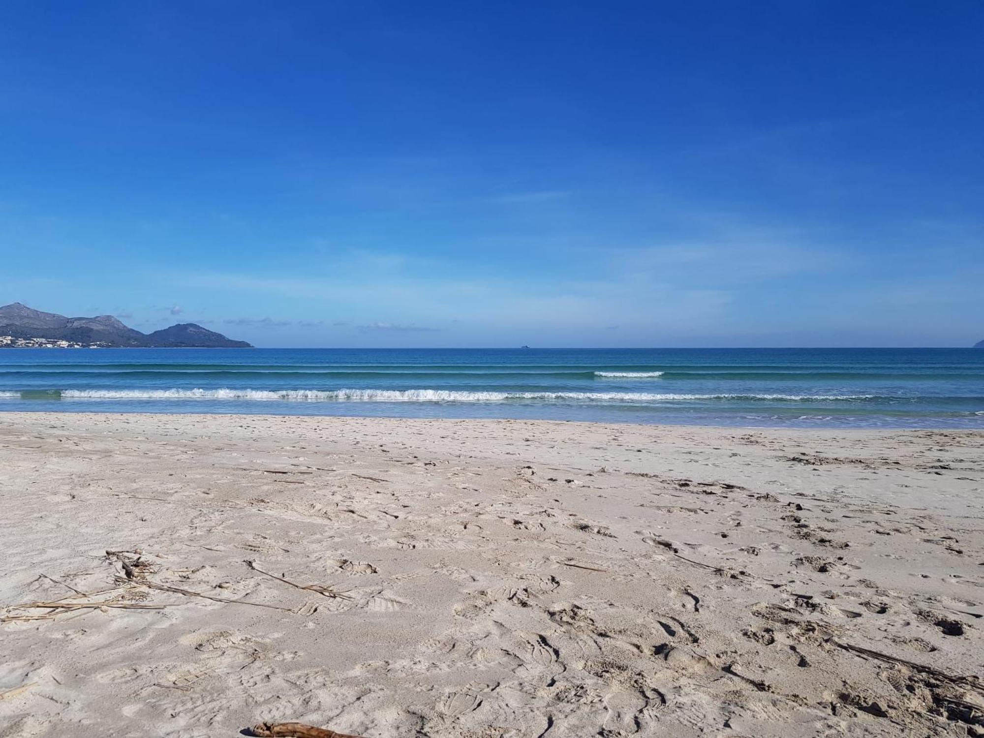 Ideal Property Mallorca - Primavera Port de Alcudia  Eksteriør billede
